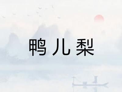 鸭儿梨