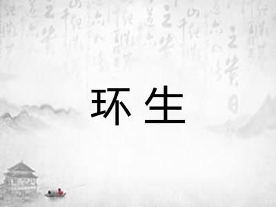 环生