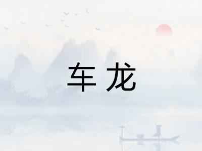 车龙