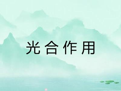 光合作用