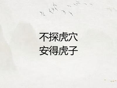 不探虎穴安得虎子