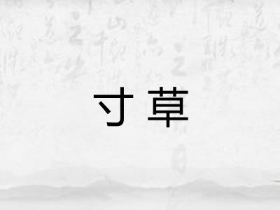 寸草