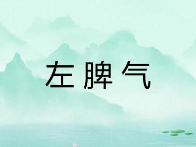 左脾气