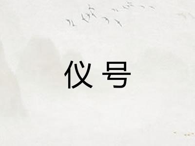 仪号