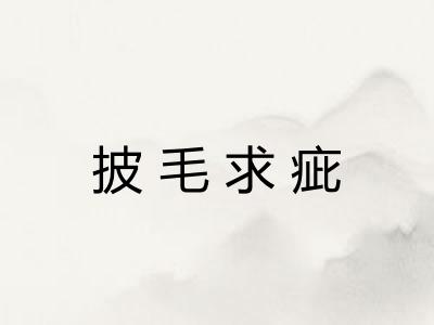 披毛求疵