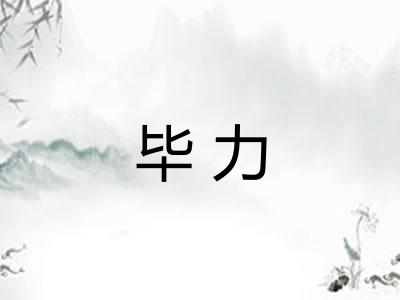毕力