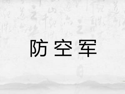 防空军