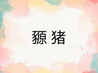 豲猪