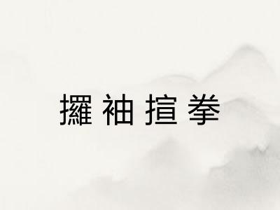 攞袖揎拳