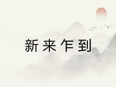 新来乍到
