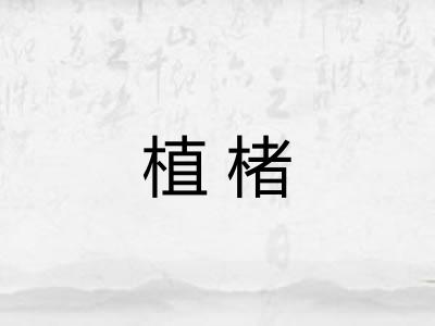 植楮