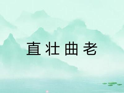 直壮曲老