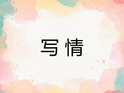 写情