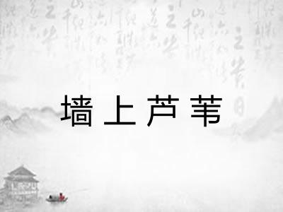 墙上芦苇