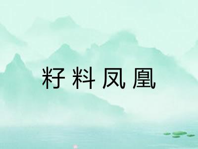籽料凤凰