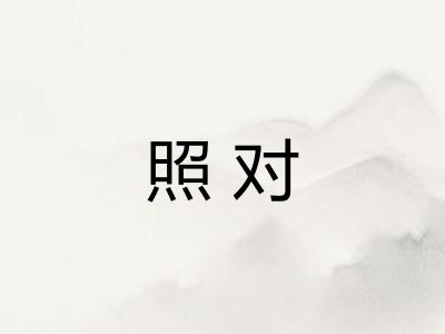 照对