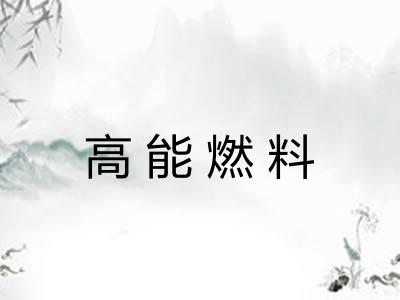 高能燃料