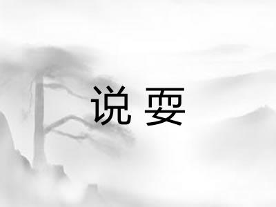 说耍