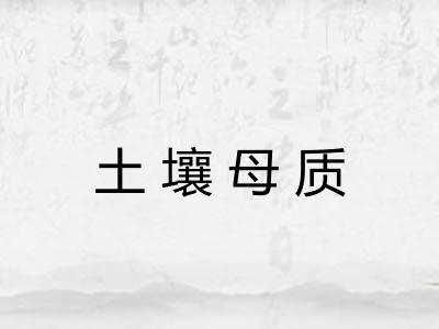 土壤母质