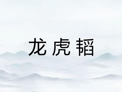 龙虎韬