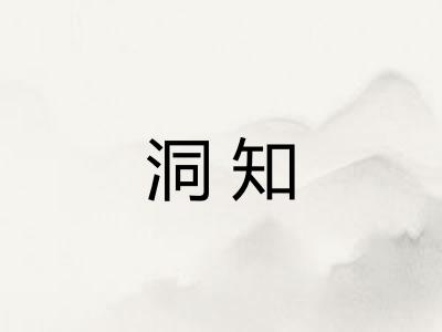 洞知