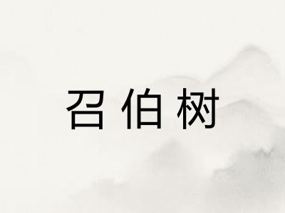 召伯树