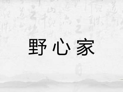 野心家