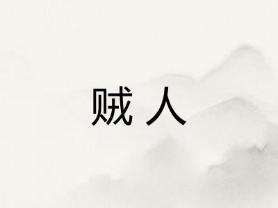 贼人