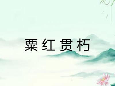 粟红贯朽