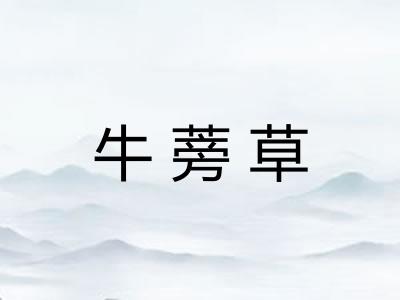 牛蒡草