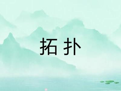 拓扑