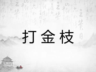 打金枝