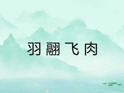 羽翮飞肉