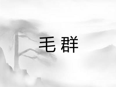 毛群