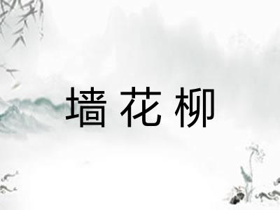 墙花柳