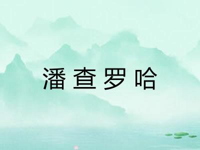 潘查罗哈