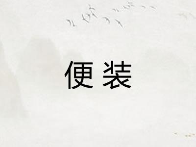 便装