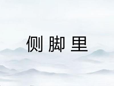 侧脚里