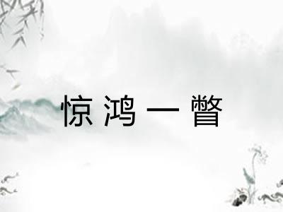 惊鸿一瞥