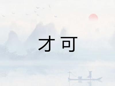 才可