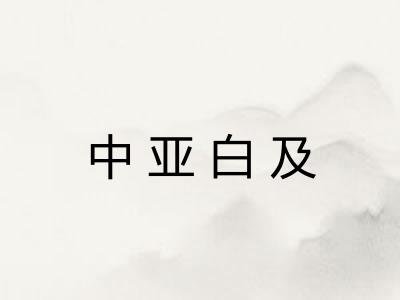 中亚白及