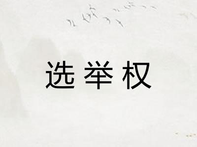 选举权