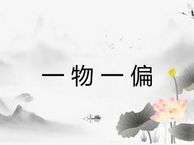 一物一偏