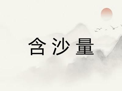 含沙量