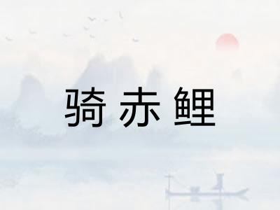 骑赤鲤