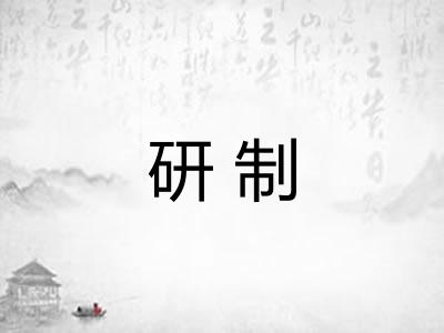 研制