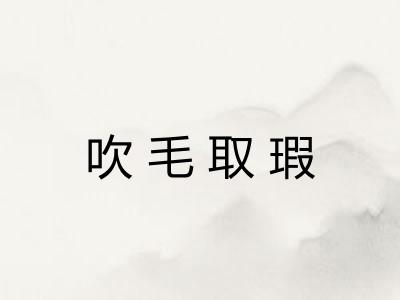 吹毛取瑕
