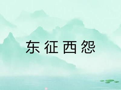 东征西怨