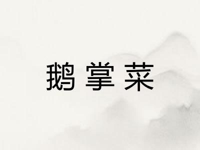 鹅掌菜
