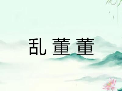 乱董董